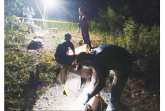 Wajah Tertutup Jilbab, Penyebab Kematian Masih Diselidiki, Penemuan Jasad Misterius di Depan Pabrik Padi