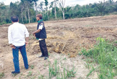 TMMD 2026, Tanam Jagung, Siapkan 1,5 Ha Lahan 