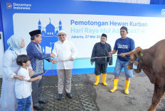 BRI Group Salurkan Lebih dari 5.000 Hewan Kurban untuk Masyarakat di Seluruh Indonesia