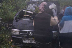  Waspada Cuaca Ekstrem, Pohon Tumbang Timpa Mobil di Jalan Poros