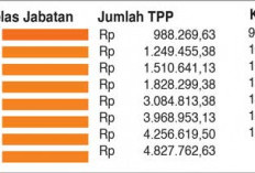 Cair, PPPK Pemkot Palembang Bakal Terima TPP hingga Belasan Juta, Ini Rinciannya 