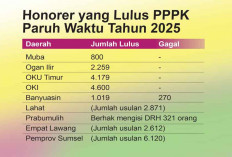 2.871 Honorer Lahat Masih Tunggu Kepastian Status, Masih Ada Instansi Belum Umumkan Kelulusan PPPK Paruh Waktu