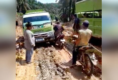 Larang Mobil Perkebunan lewat Jalan Umum, Lonsum Minta Pembatasan Tonase