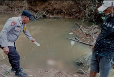 Warga Sindang Marga Geger, Pria 68 Tahun Ditemukan Tak Bernyawa Setelah Dua Minggu Hilang