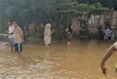 Sungai Meluap, Jalinsum Mura-Muratara Terendam Banjir
