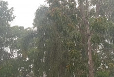 Info Cuaca Sumsel, Selasa 21 Oktober 2025: BMKG Imbau Waspadai Potensi Hujan Petir dan Angin Kencang