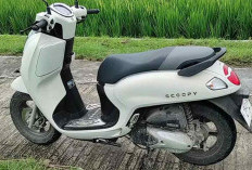 Catatan Penting! 1 Bulan Pakai Honda Scoopy Terbaru: Masih Berebet atau Sudah Halus? Review Jujurnya
