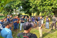 Warga Desa Gunung Kuripan Demo PT AOC, Tuntut Janji Kerja dan Kompensasi Direalisasikan