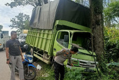 Viral! Truk Muatan Mie Terperosok di Banyuasin, Sekelompok Warga Serbu dan Jarah Barang