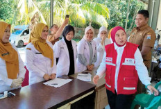 UTD PMI Palembang Raih Sertifikat CPOB, Jadi Satu-Satunya di Sumsel