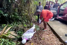 Akui Bakar Korban agar Tak Dikenali, Polisi Gelar Reka Ulang Pembunuhan Dra Cristina