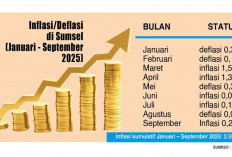 Tuding Harga Naik Imbas MBG, Ayam-Telur Meroket Sebulan Terakhir 