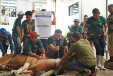PT Pegadaian Kanwil III Sumbagsel Salurkan Hampir 2.000 Paket Daging Kurban untuk Warga