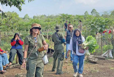 Swasembada Pangan, Contoh Desa Proklim, Pagar Dewa, Mandiri Secara Pangan dan Lingkungan