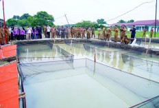 Pemkab Musi Banyuasin Tanam 270 Bibit Sawit dan Tebar 10.000 Benih Lele, Optimalkan Aset dan Dongkrak PAD