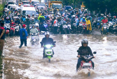 Hujan Lebat Sesaat Jalan Protokol Palembang Dikepung Banjir, Saluran Air Tersumbat, Daerah Resapan Berkurang 