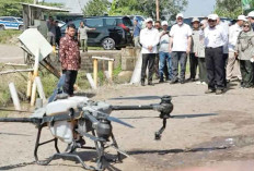 Jajaki Kerjasama, Kunjungi Persawahan