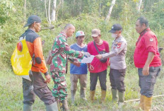  Hujan empat Hari, Gambut sudah basah