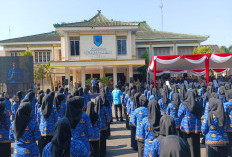 WFH Hemat Energi, ASN Lahat Masih Dibayangi Biaya Transportasi