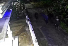 Curanmor Kian Meresahkan di Palem Mutiara Prabumulih, Tiga Motor Hilang dalam Satu Malam