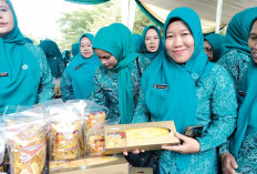 Bolu Labu Kuning Tahan hingga Sepekan, Binaan TP PKK Teluk Gelam 