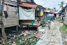  Tingkat Kesenjangan Backlog Perumahan di Sumsel Masih Tinggi, Ini Penyebabnya