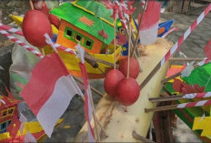 Telok Abang Merah Putih  Warna Perjuangan dari Bumi