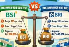 Perbandingan Pinjaman Non KUR BSI dan Non KUR BRI Februari 2026, Pilih Mana yang Lebih Menguntungkan?