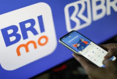 BRImo: Solusi Transaksi Cepat dan Mudah hingga Ke Pelosok Desa