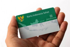 Cara Cek Status Kepesertaan BPJS Kesehatan 2026 Secara Online dan Offline dengan Mudah