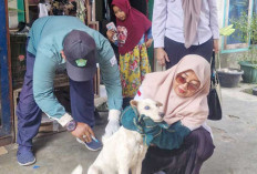 Distan Kota Prabumulih Gencarkan Vaksinasi Rabies Door to door