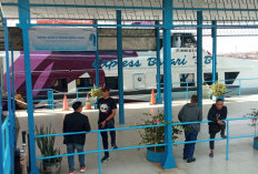 Tidak Terbit SPB, Kapal Express Bahari Batal Berlayar 