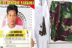 Bukan Tentara Kenakan Celana Loreng Hijau, Kantongi 20 Gram Ganja, Ya Ditangkap Polisi