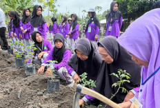 Lewat Urban Farming, Pertagas Ajak Lansia Desa Pangkul Tetap Aktif dan Mandiri