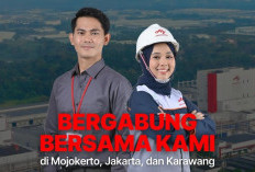 Loker Terbaru Hari Ini: Ajinomoto Cari Karyawan Baru, Fresh Graduate Boleh Daftar, Simak Kualifikasinya