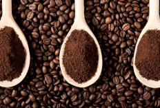 Arabika vs Robusta: Pilihan Kopi Sesuai Selera dan Gaya Hidup Anda