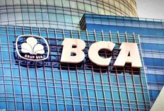 Fresh Graduate Buruan Merapat Yuk, Bank BCA Lagi Buka Lowongan Kerja Nih,  Simak Kualifikasinya!