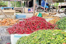 Harga Cabai Meroket, Pasar Pulo Mas