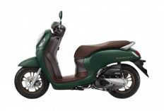 Tampil Percaya Diri Dengan Motor Matic Perempuan Stylish dan Keren Cocok Untuk Semua Aktivitas