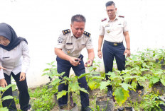 Sulap Lahan Kosong Jadi Kebun Melon-Terong, Dukung Ketahanan Pangan di Rutan Baturaja