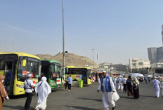 Layanan Bus Salawat Dihentikan Sementara Jelang Puncak Haji