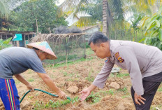 Pekarangan Bantu Penuhi Kebutuhan Keluarga