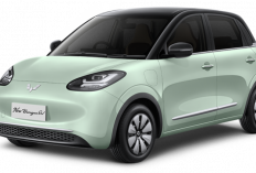 Harga dan Simulasi Kredit Wuling Binguo EV 2025