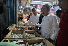 Pemkot Palembang Lakukan Sidak Gudang Distributor Sembako dan Pasar Rakyat, Ini Hasilnya