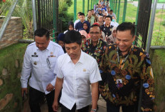 Tindaklanjuti Instruksi Presiden Jokowi, Wamenkes RI Kunjungi Dua RS di Lubuklinggau