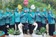 PKK Desa Riding Sulap Botol Bekas Jadi Pagar Wisata Kebun, Menarik Minat Pengunjung