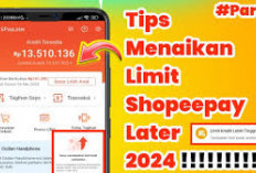 Bocoran! Cara Mendapatkan Pinjaman Shopee PayLater dengan Limit Tinggi