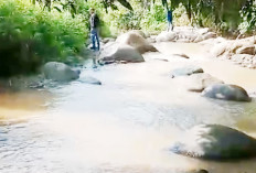 Sungai Sepanas Diduga Tercemar Limbah, PT PGE Lumut Balai Cek ke Lokasi