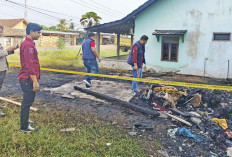 Ngeyel, Pria Uzur Bakar Kios Dagang Pakai Karpet Telur