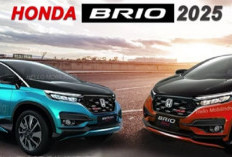 Honda Brio 2025 Tampil Mewah, Berkualitas Premium, Harga Terjangkau – Mobil Idaman Kaum Milenial!